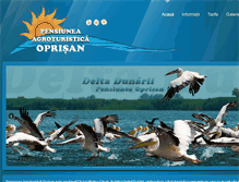 Tablet Screenshot of pensiuneaoprisan.com